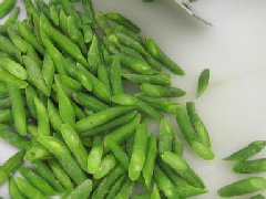 Frozen green bean cut